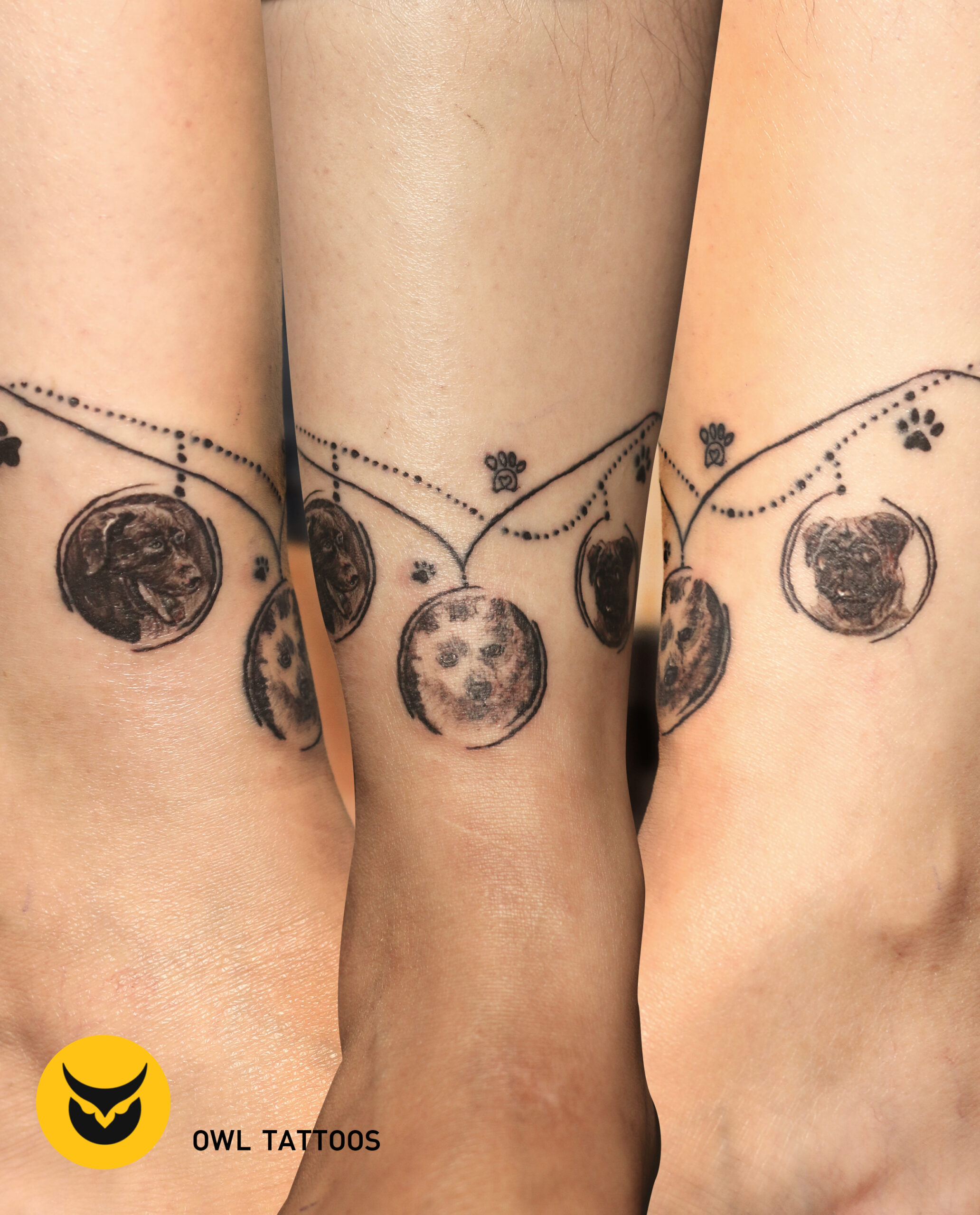 dog pet portrait small face